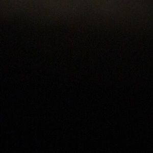 Meet your Posher, Camryn